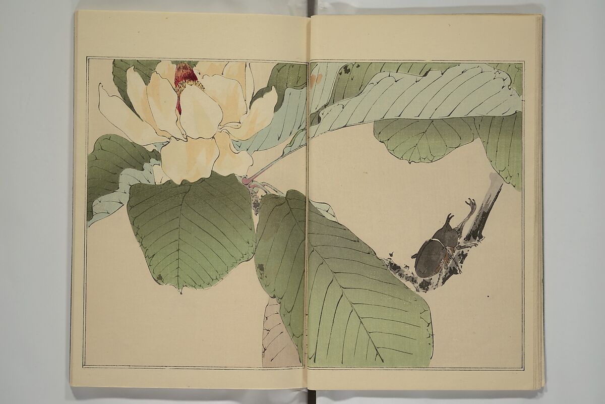 Picture Album of Birds and Flowers (Kachō gafu) 華鳥画譜, Watanabe Seitei 渡辺省亭 (Japanese, 1851–1918), Woodblock printed book; ink and color on paper, Japan