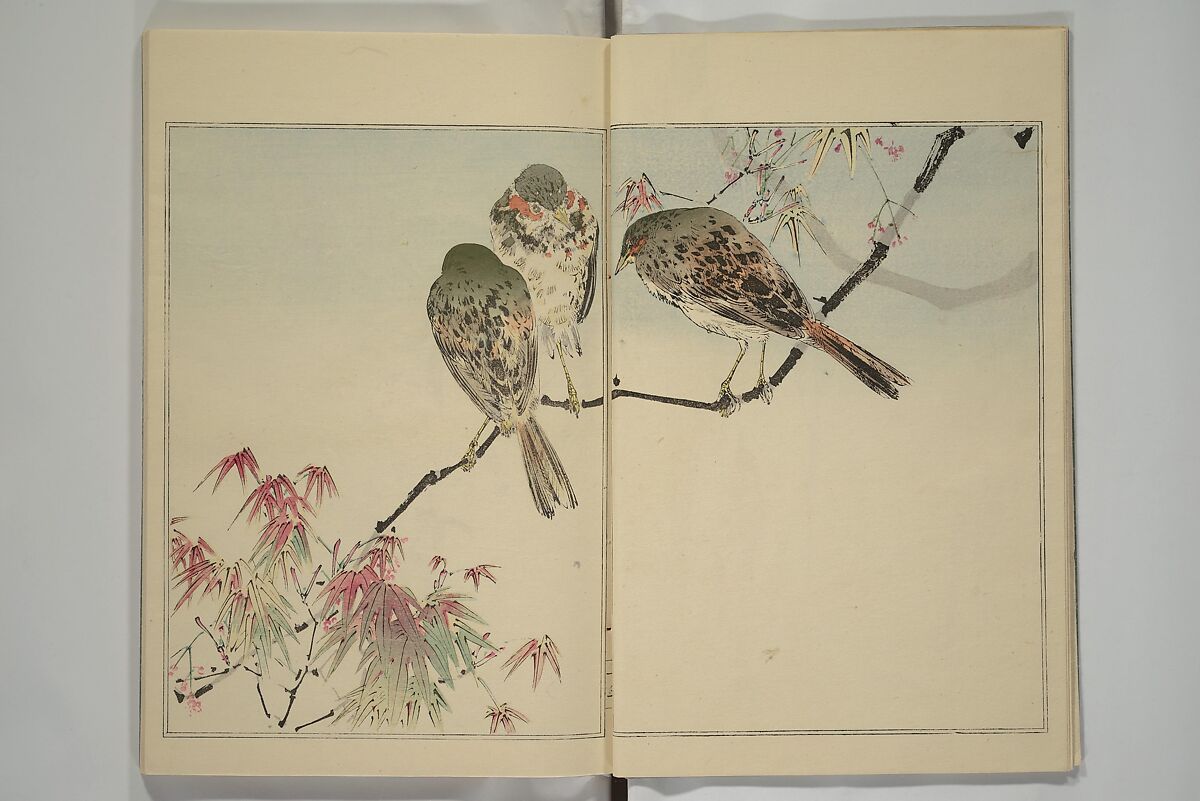 Picture Album of Birds and Flowers (Kachō gafu) 華鳥画譜, Watanabe Seitei 渡辺省亭 (Japanese, 1851–1918), Woodblock printed book; ink and color on paper, Japan 