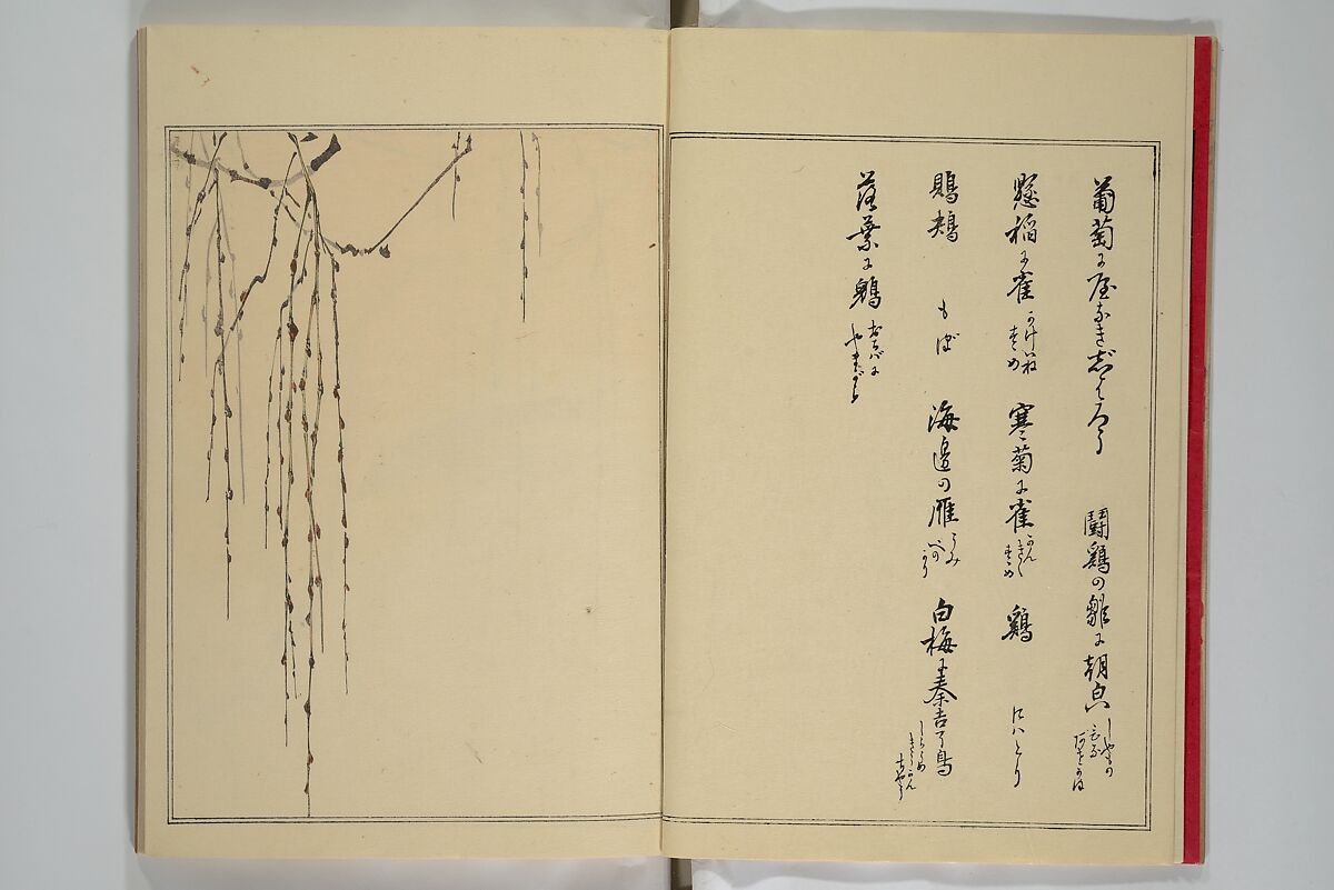 Picture Album of Birds and Flowers (Seitei Kachō gafu)  省亭花鳥画譜, Watanabe Seitei 渡辺省亭 (Japanese, 1851–1918), Set of three woodblock printed books attached by thread binding; ink and color on paper, Japan