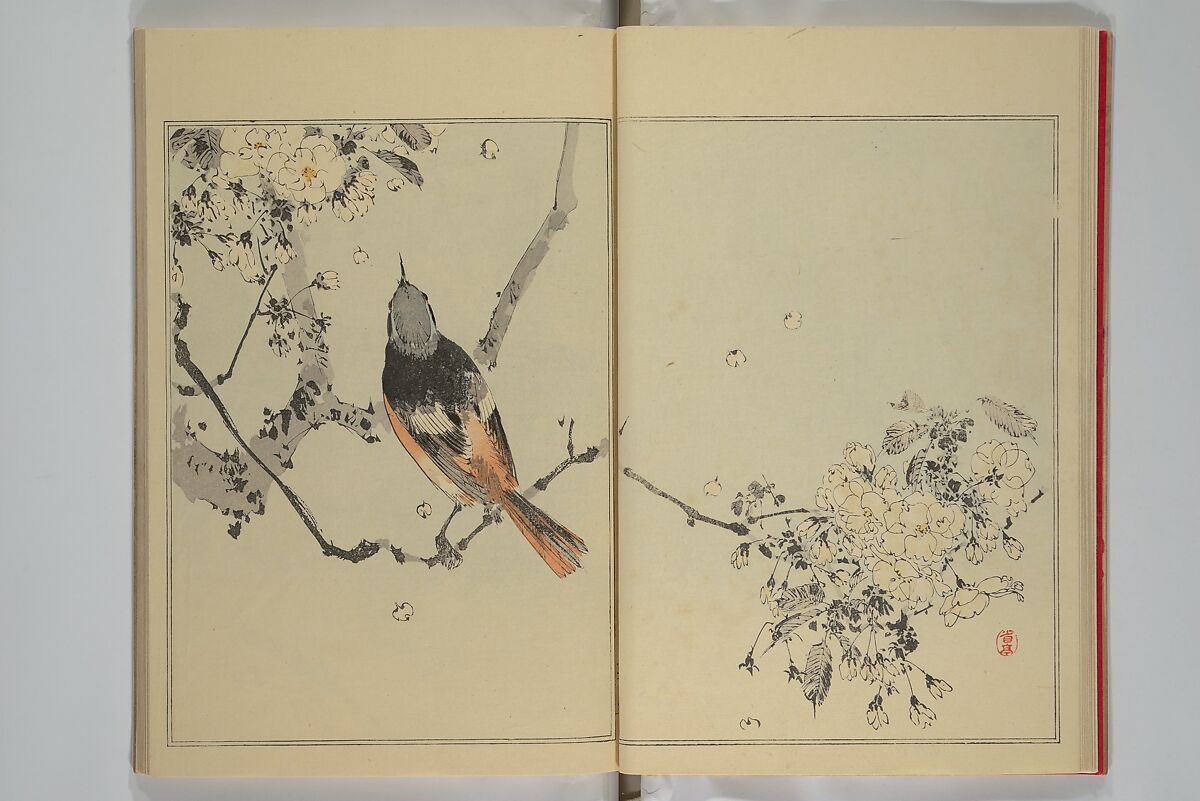 Picture Album of Birds and Flowers (Seitei Kachō gafu)  省亭花鳥画譜, Watanabe Seitei 渡辺省亭 (Japanese, 1851–1918), Set of three woodblock printed books attached by thread binding; ink and color on paper, Japan