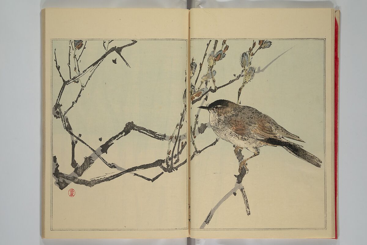 Picture Album of Birds and Flowers (Seitei Kachō gafu)  省亭花鳥画譜, Watanabe Seitei 渡辺省亭 (Japanese, 1851–1918), Set of three woodblock printed books attached by thread binding; ink and color on paper, Japan