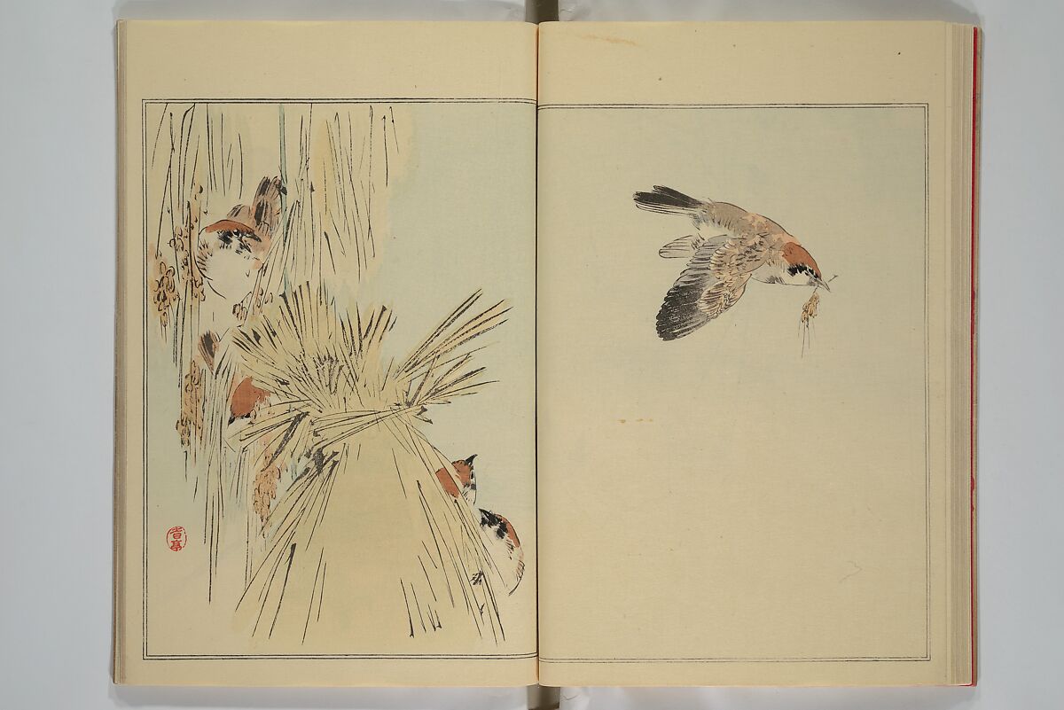 Picture Album of Birds and Flowers (Seitei Kachō gafu)  省亭花鳥画譜, Watanabe Seitei 渡辺省亭 (Japanese, 1851–1918), Set of three woodblock printed books attached by thread binding; ink and color on paper, Japan