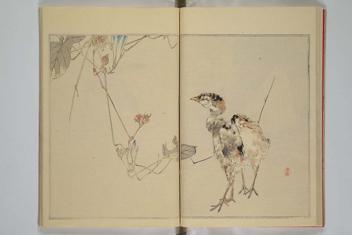Picture Album of Birds and Flowers (Seitei Kachō gafu)  省亭花鳥画譜, Watanabe Seitei 渡辺省亭 (Japanese, 1851–1918), Set of three woodblock printed books attached by thread binding; ink and color on paper, Japan