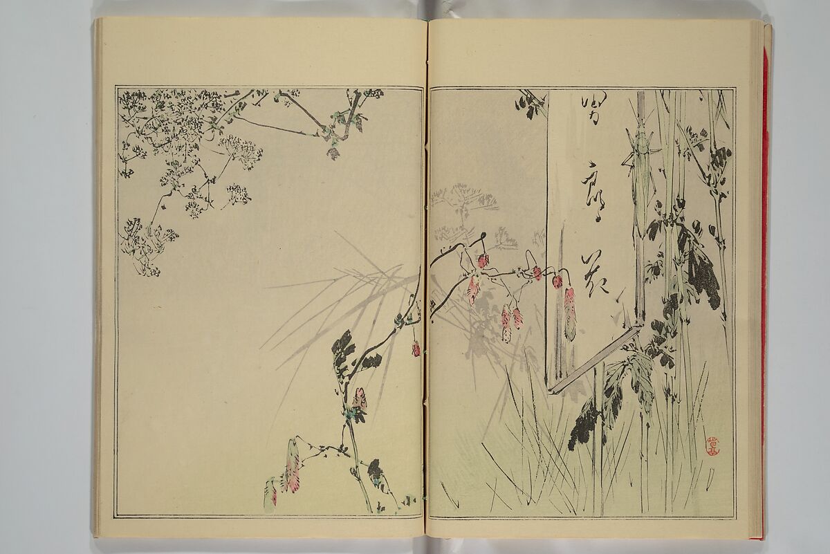 Picture Album of Birds and Flowers (Seitei Kachō gafu)  省亭花鳥画譜, Watanabe Seitei 渡辺省亭 (Japanese, 1851–1918), Set of three woodblock printed books attached by thread binding; ink and color on paper, Japan