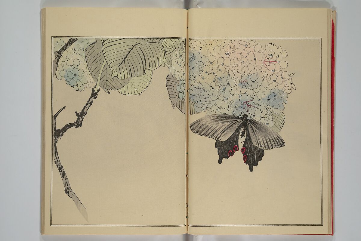 Picture Album of Birds and Flowers (Seitei Kachō gafu)  省亭花鳥画譜, Watanabe Seitei 渡辺省亭 (Japanese, 1851–1918), Set of three woodblock printed books attached by thread binding; ink and color on paper, Japan