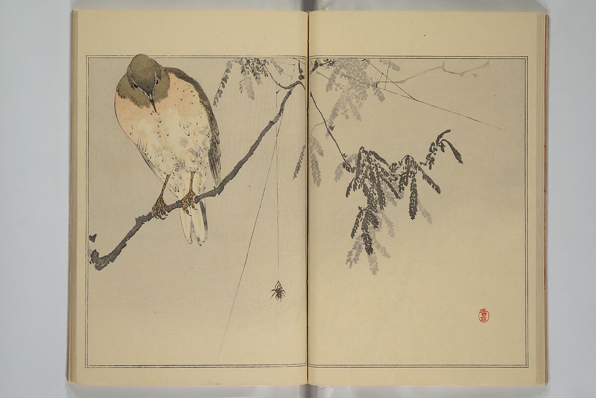Picture Album of Birds and Flowers (Seitei Kachō gafu)  省亭花鳥画譜, Watanabe Seitei 渡辺省亭 (Japanese, 1851–1918), Set of three woodblock printed books attached by thread binding; ink and color on paper, Japan