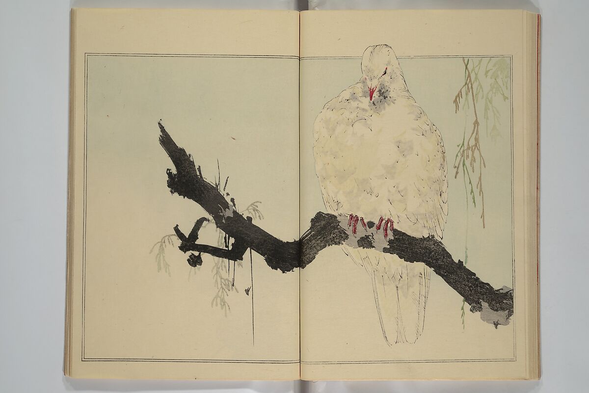 Picture Album of Birds and Flowers (Seitei Kachō gafu)  省亭花鳥画譜, Watanabe Seitei 渡辺省亭 (Japanese, 1851–1918), Set of three woodblock printed books attached by thread binding; ink and color on paper, Japan