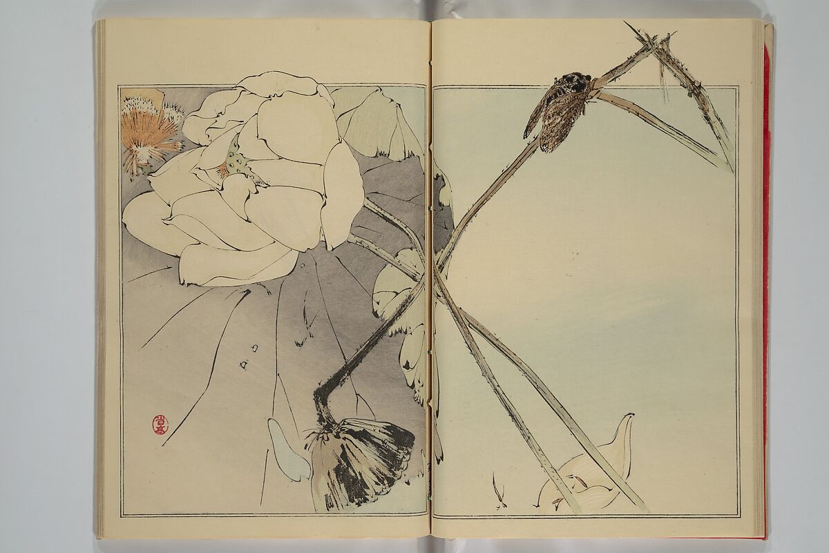 Picture Album of Birds and Flowers (Seitei Kachō gafu)  省亭花鳥画譜, Watanabe Seitei 渡辺省亭 (Japanese, 1851–1918), Set of three woodblock printed books attached by thread binding; ink and color on paper, Japan