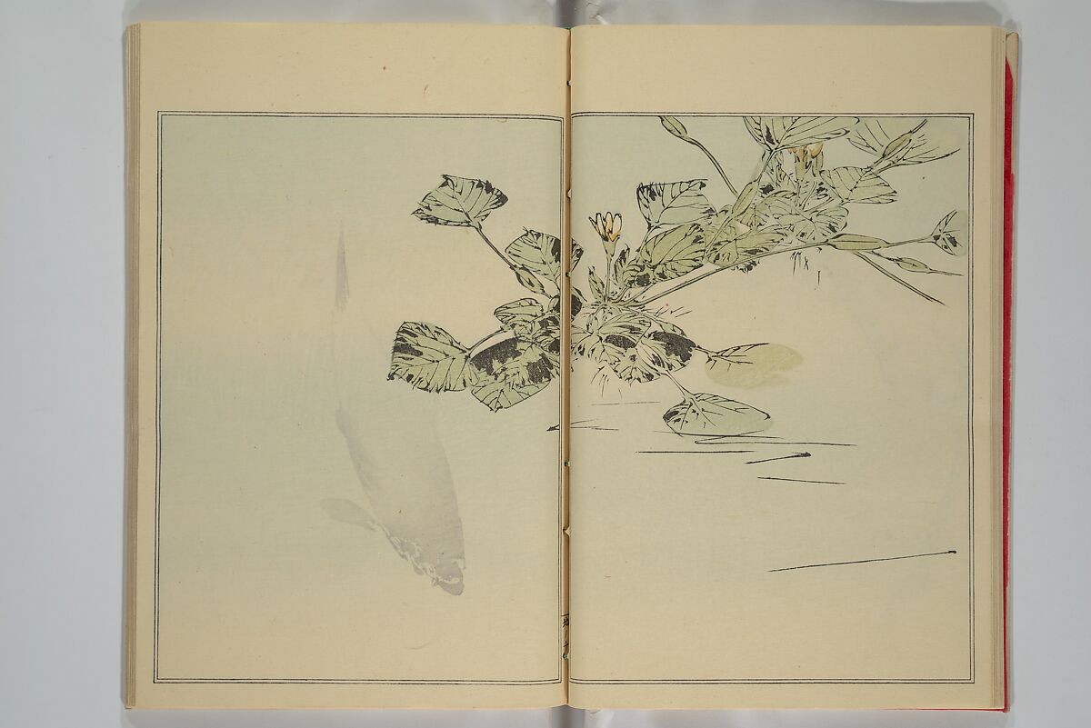 Picture Album of Birds and Flowers (Seitei Kachō gafu)  省亭花鳥画譜, Watanabe Seitei 渡辺省亭 (Japanese, 1851–1918), Set of three woodblock printed books attached by thread binding; ink and color on paper, Japan