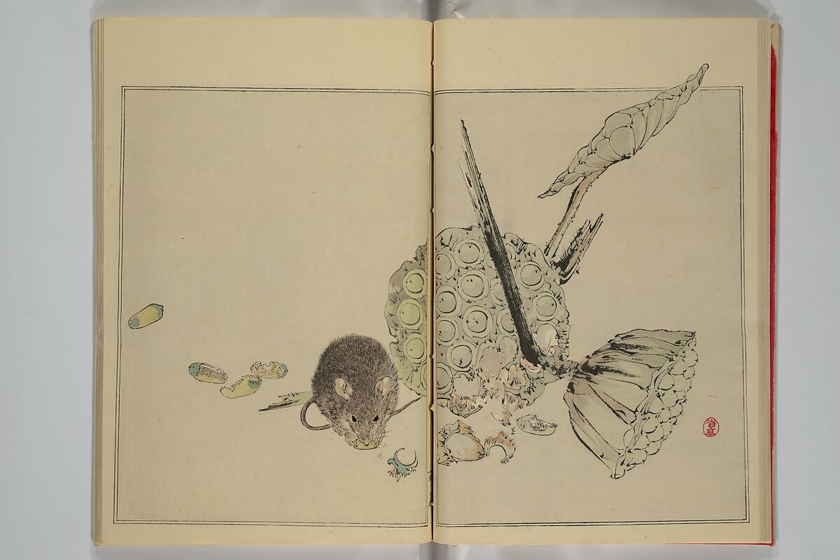 Picture Album of Birds and Flowers (Seitei Kachō gafu)  省亭花鳥画譜, Watanabe Seitei 渡辺省亭 (Japanese, 1851–1918), Set of three woodblock printed books attached by thread binding; ink and color on paper, Japan