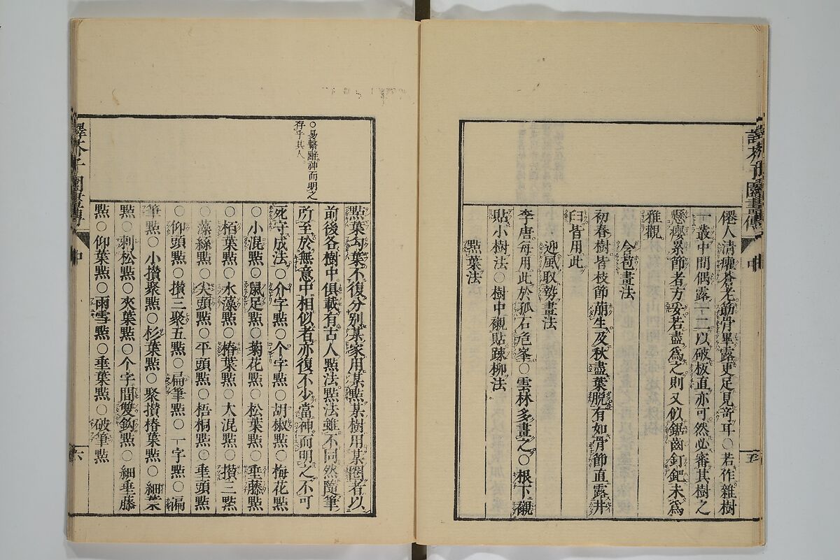 The Mustard Seed Garden Painting Manual (Yakubon Kaishien gaden) 譯本芥子園畫傳, Kashiwagi Jotei 柏木如亭 (Japanese, 1763–1819), Woodblock printed books; ink and color (on frontispiece only) on paper, Japan