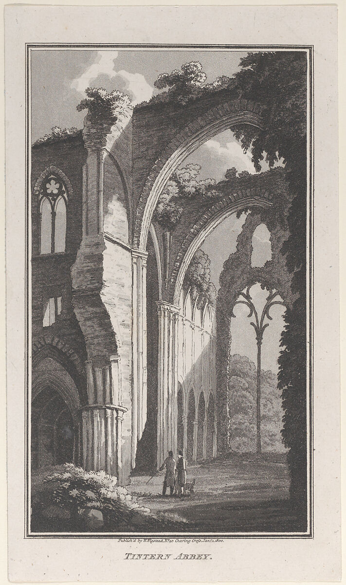 Water Fall near Dolghelly, from "Remarks on a Tour to North and South Wales, in the year 1797", John Hill (British, ca. 1714–1775), Etching and aquatint 