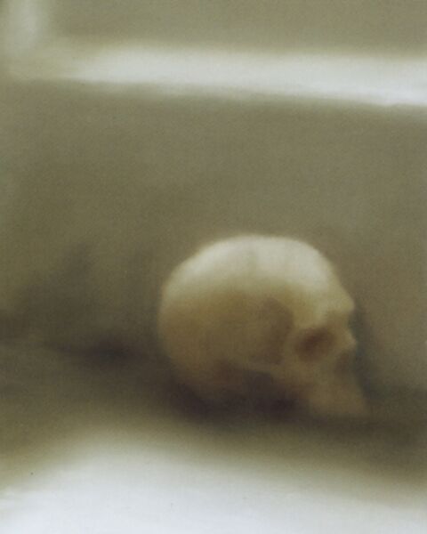 Skull, Gerhard Richter (German, born Dresden, 1932), Oil on canvas 