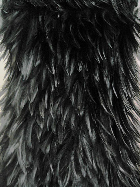 Evening dress, Donald Brooks (American, New Haven, Connecticut 1928–2005 Stony Brook, New York), feathers, synthetic fiber, American