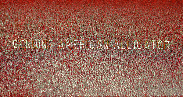 Belt, Barry Kieselstein-Cord (American, born 1948), silver, alligator skin, American