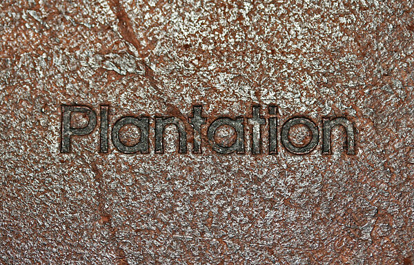 Belt, Issey Miyake (Japanese, 1938–2022), leather, metal, Japanese