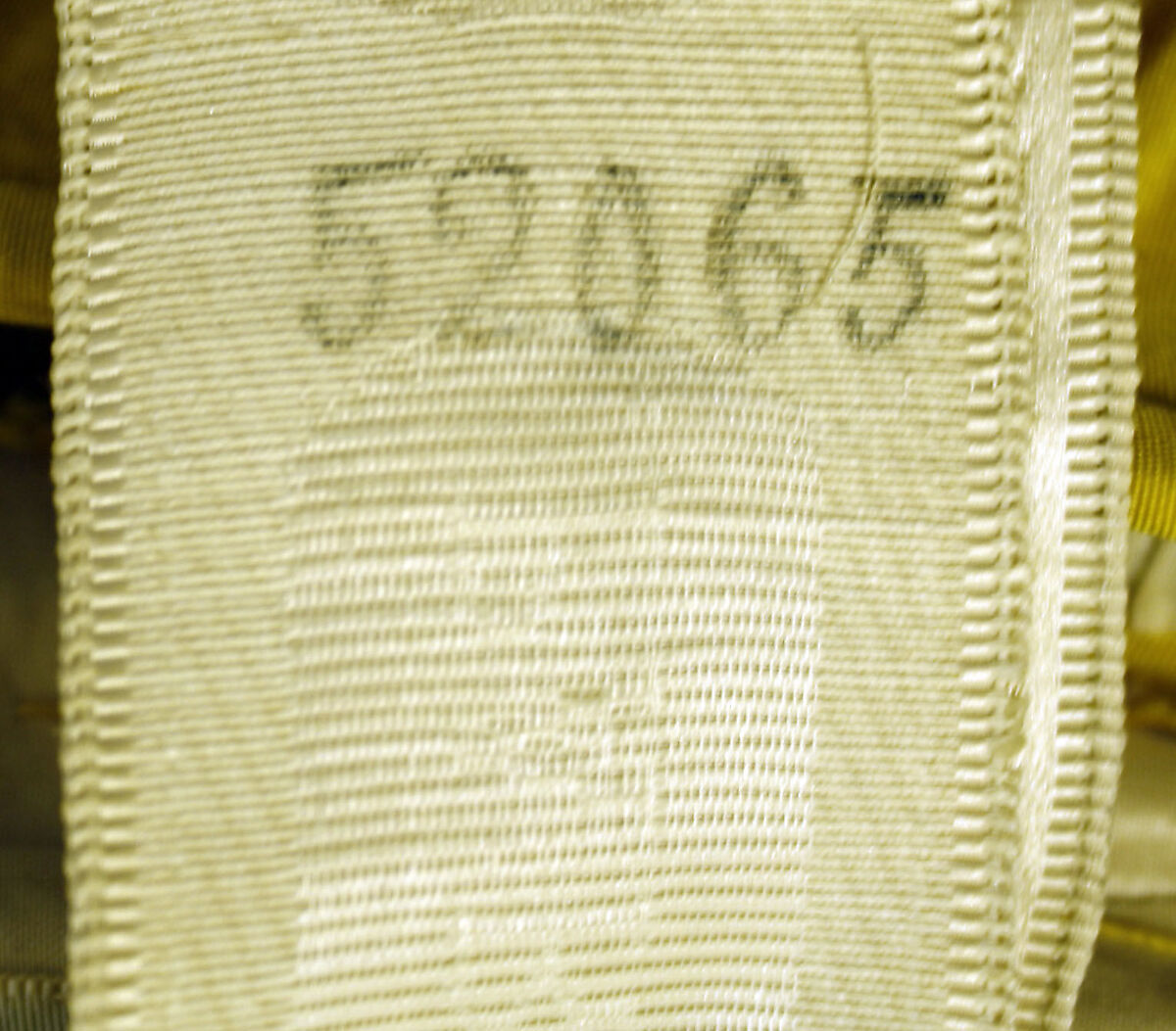 Fancy dress costume, House of Worth (French, 1858–1956), silk, cotton, French