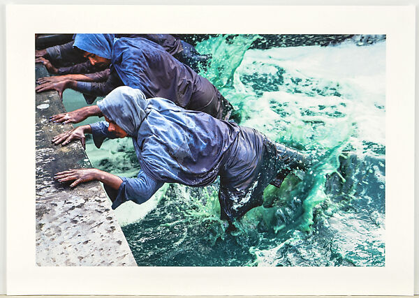 Indigo Extraction 1, Tamil Nadu