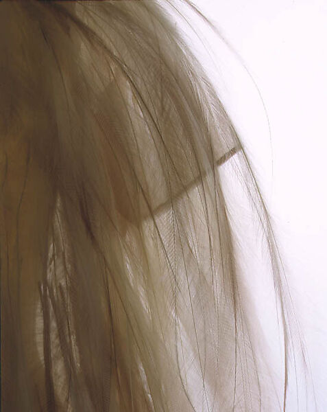 Evening dress, Yves Saint Laurent (French, founded 1961), silk, bird-of-paradise feathers, French