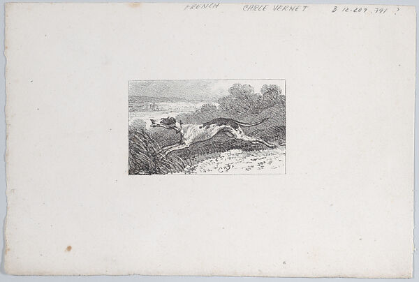 Studies of Hunting Dogs, Carle (Antoine Charles Horace) Vernet (French, Bordeaux 1758–1836 Paris), Lithograph 