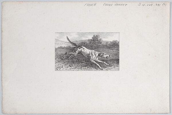 Studies of Hunting Dogs, Carle (Antoine Charles Horace) Vernet (French, Bordeaux 1758–1836 Paris), Lithograph 