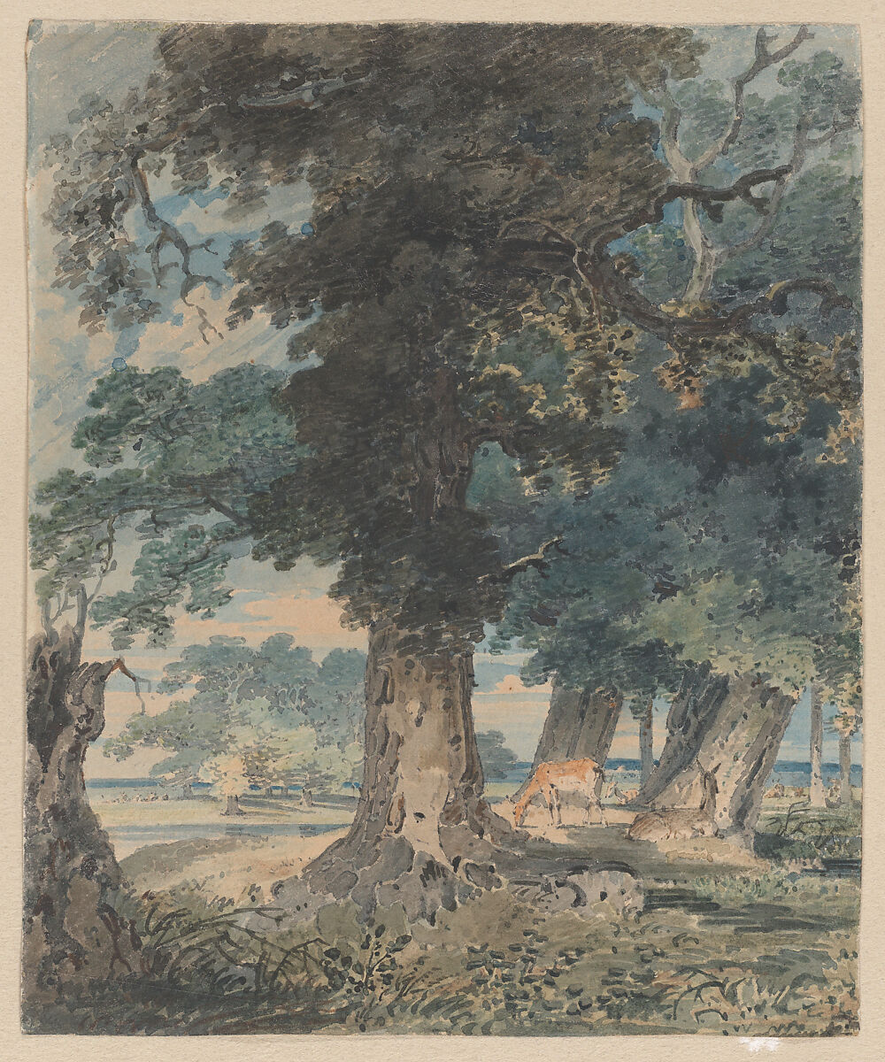 Deer in Windsor Forest, Thomas Girtin (British, London 1775–1802 London), Graphite and watercolor 