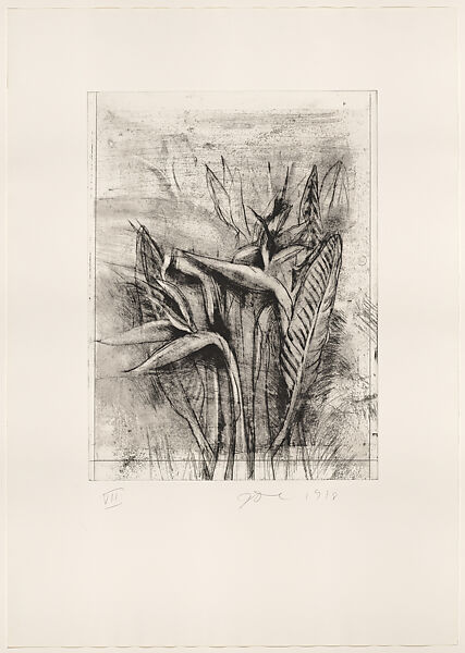 Strelitzia, Jim Dine (American, born Cincinnati, Ohio, 1935), Etching, soft-ground etching, drypoint, photogravure, electric tools, and watercolor 