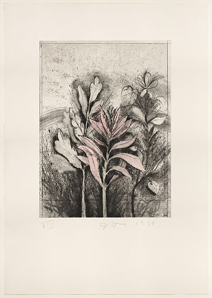 Tropical Succulents, Jim Dine (American, born Cincinnati, Ohio, 1935), Etching, soft-ground etching, drypoint, photogravure, electric tools, and watercolor 