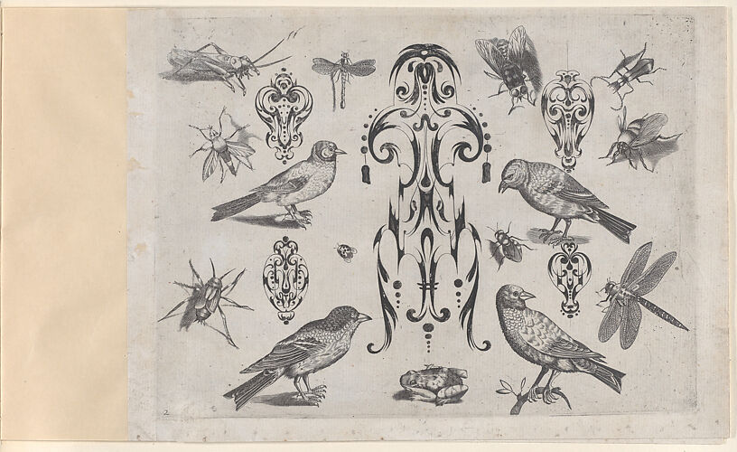 Blackwork Designs with Birds and Insects, Plate 2 from a Series of Blackwork Ornaments combined with figures, birds, animals and flowers