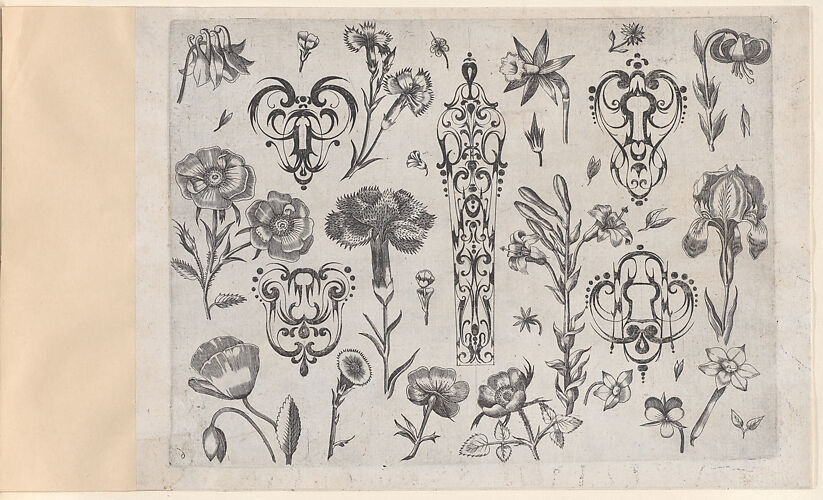 Blackwork Designs with Flowers, Plate 6 from a Series of Blackwork Ornaments combined with Figures, Birds, Animals and Flowers