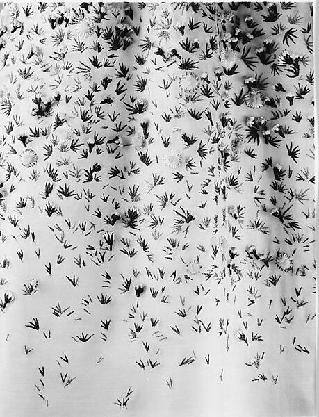 "Vilmorin", House of Dior (French, founded 1946), silk, nylon, French