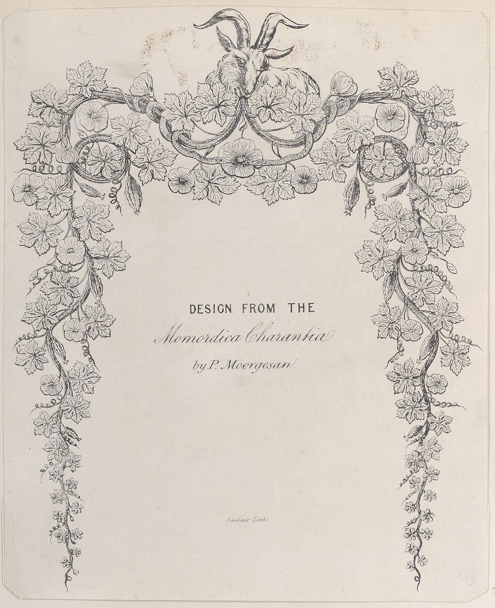 Design from the Momordica Charantia by P. Moorgesan, Anonymous, British, 19th century, Commercial lithograph 
