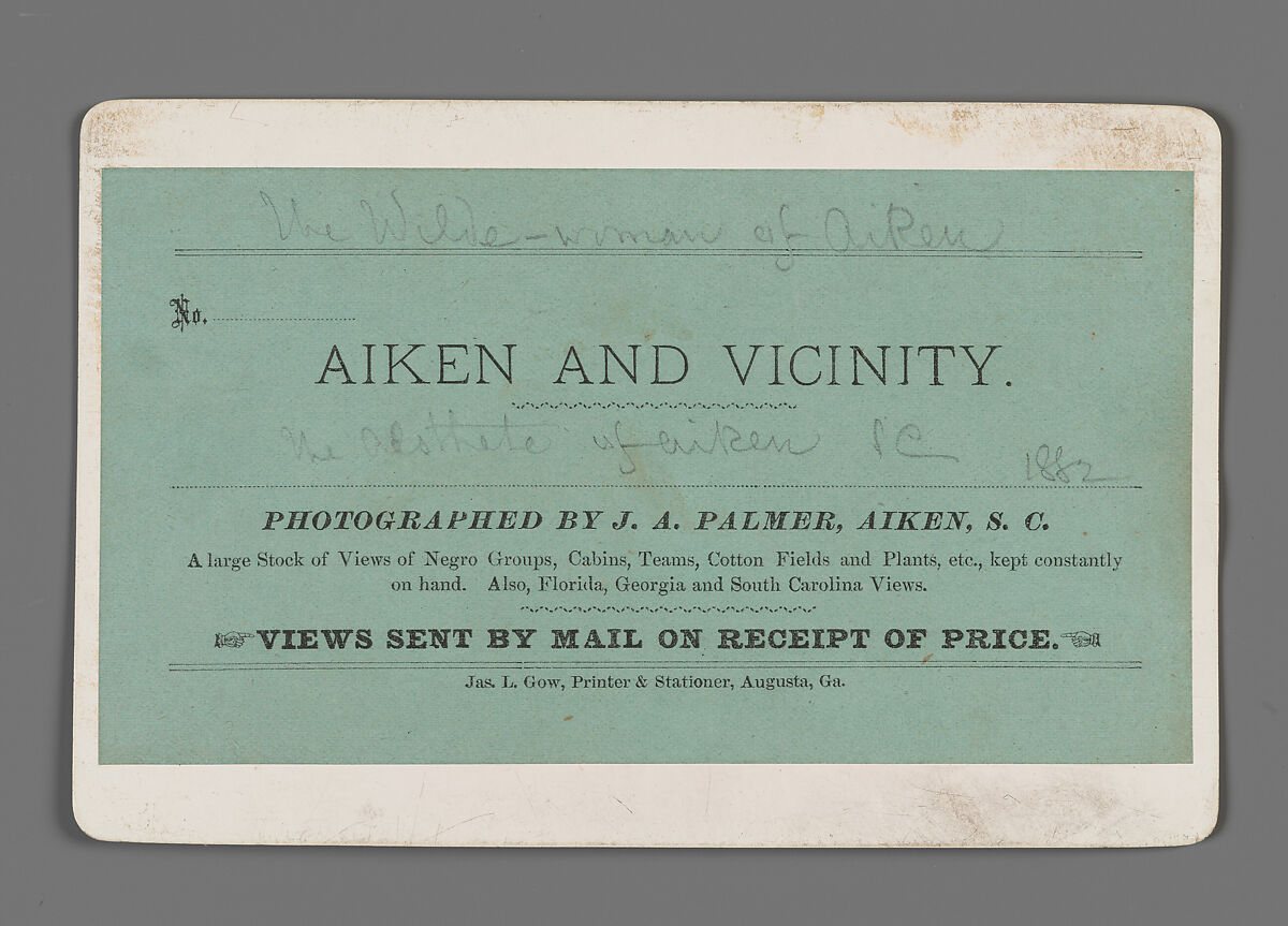 "The Wilde Woman of Aiken," from the "Aiken and Vicinity" series, James A. Palmer (Irish-American, 1825–1896), Albumen silver print from glass negative, American