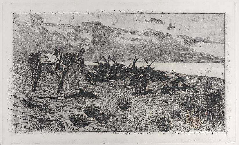 Donkeys on a seashore in winter