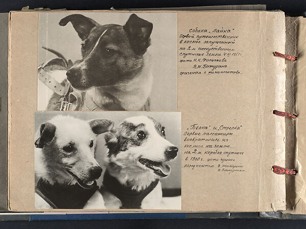 Page from Brothers of the Cosmos, 1969, featuring images of Laika, 1957 [top],
by V.M. Baturin and N. K. Filippov; and Belka and Strelka, 1960 [bottom], by Baturin and V. Zhiharekno, V. M. Baturin (Russian, active 1960s), Gelatin silver prints 