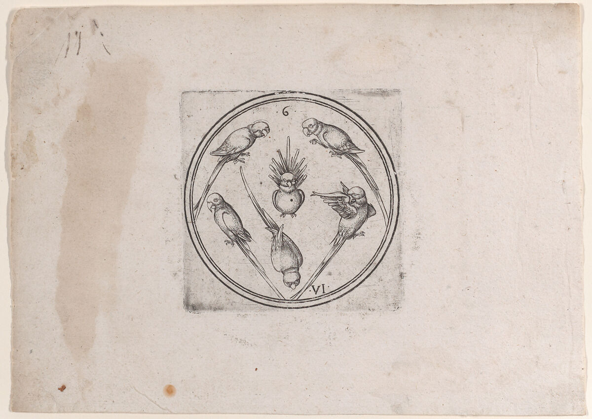 The Six of Parrots, from the series of round playing cards, Master PW of Cologne (German, active Cologne, ca. 1490–1515), Engraving 