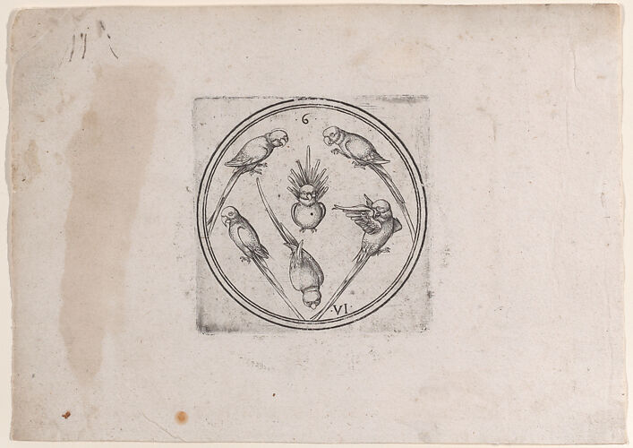 The Six of Parrots, from the series of round playing cards