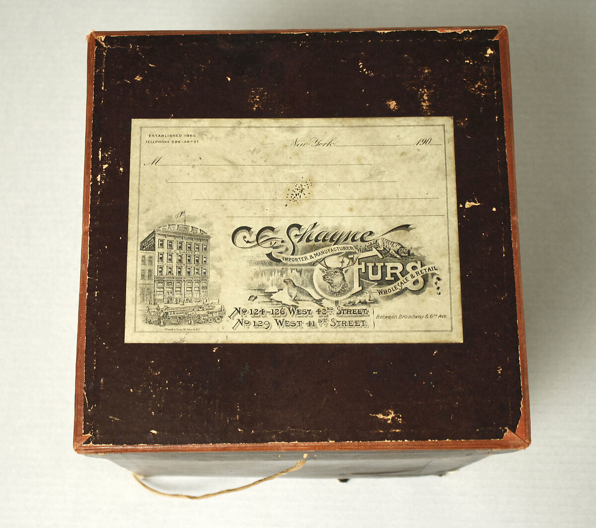 Ensemble, feather, mole, American