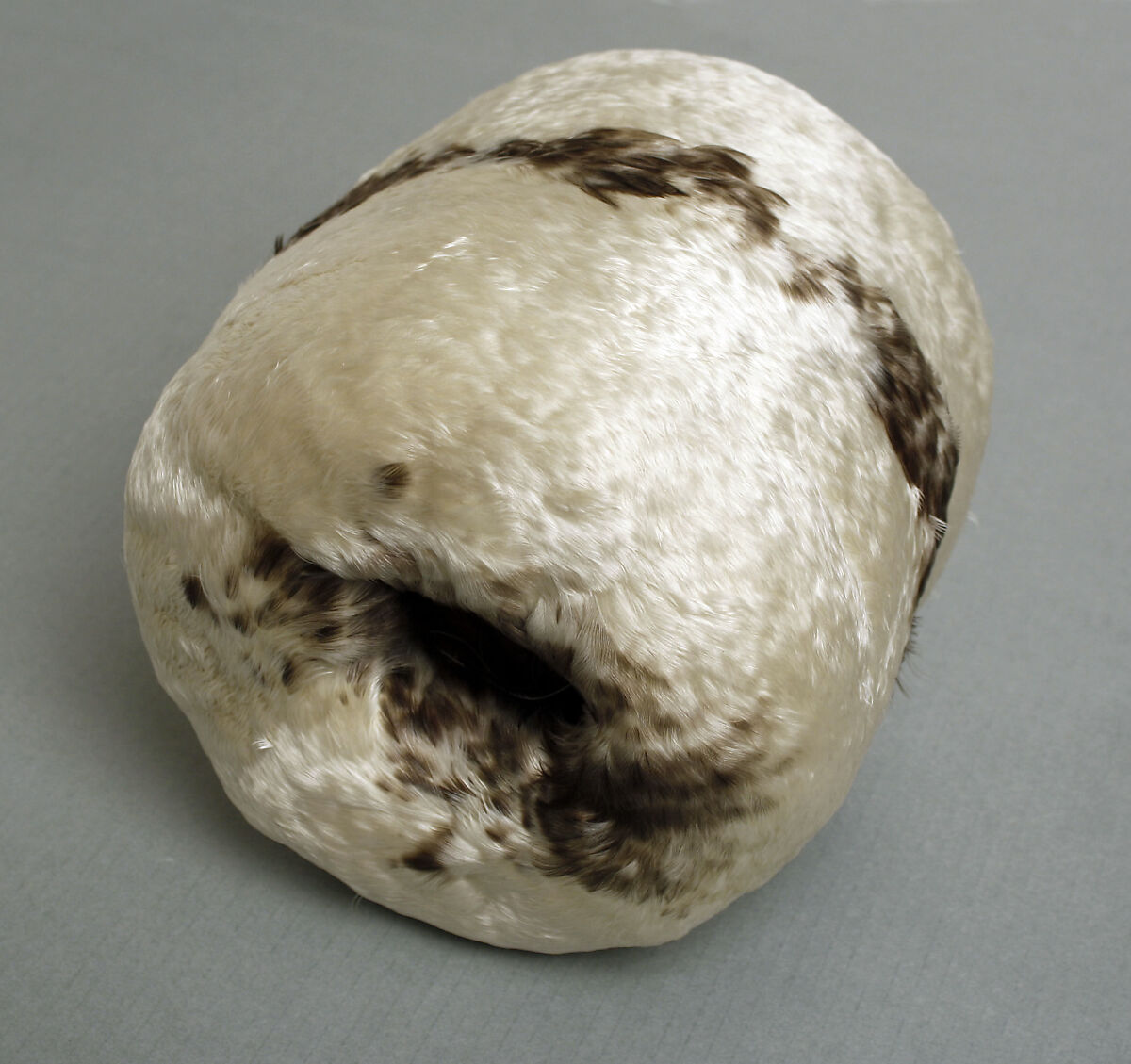 Ensemble, feather, mole, American