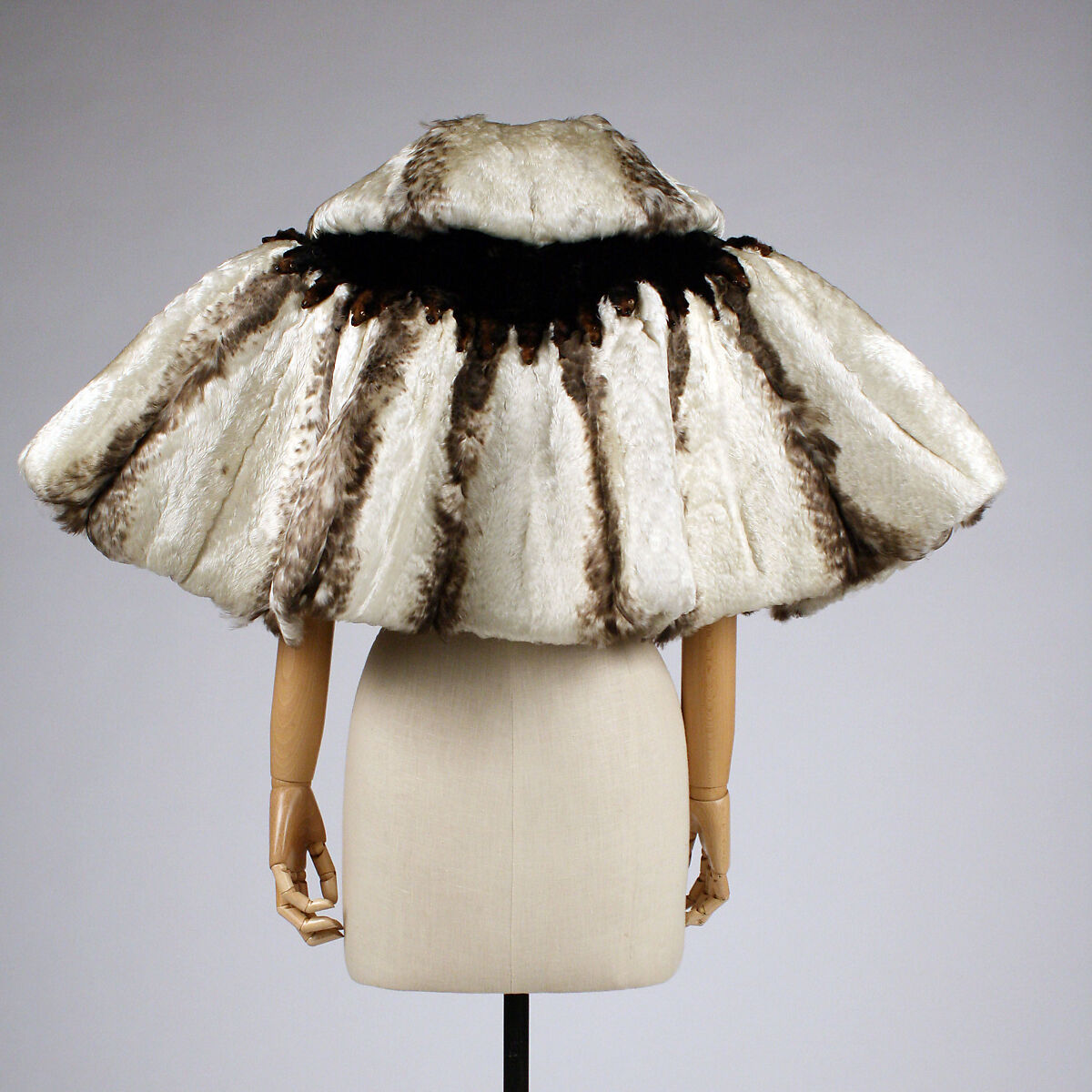 Ensemble, feather, mole, American