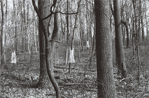 Untitled, Robert Gober (American, born Wallingford, Connecticut, 1954), Gelatin silver print 