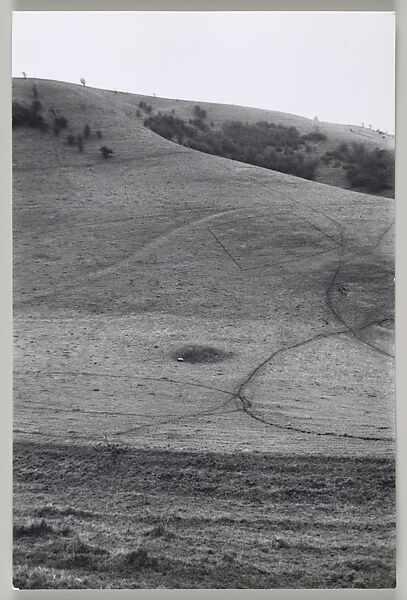 A Walking Sculpture in Two Parts, with Cattle Tracks, Luccombe Bottom, England, Richard Long (British, born 1945), Gelatin silver print 