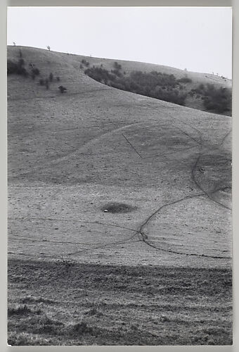 A Walking Sculpture in Two Parts, with Cattle Tracks, Luccombe Bottom, England