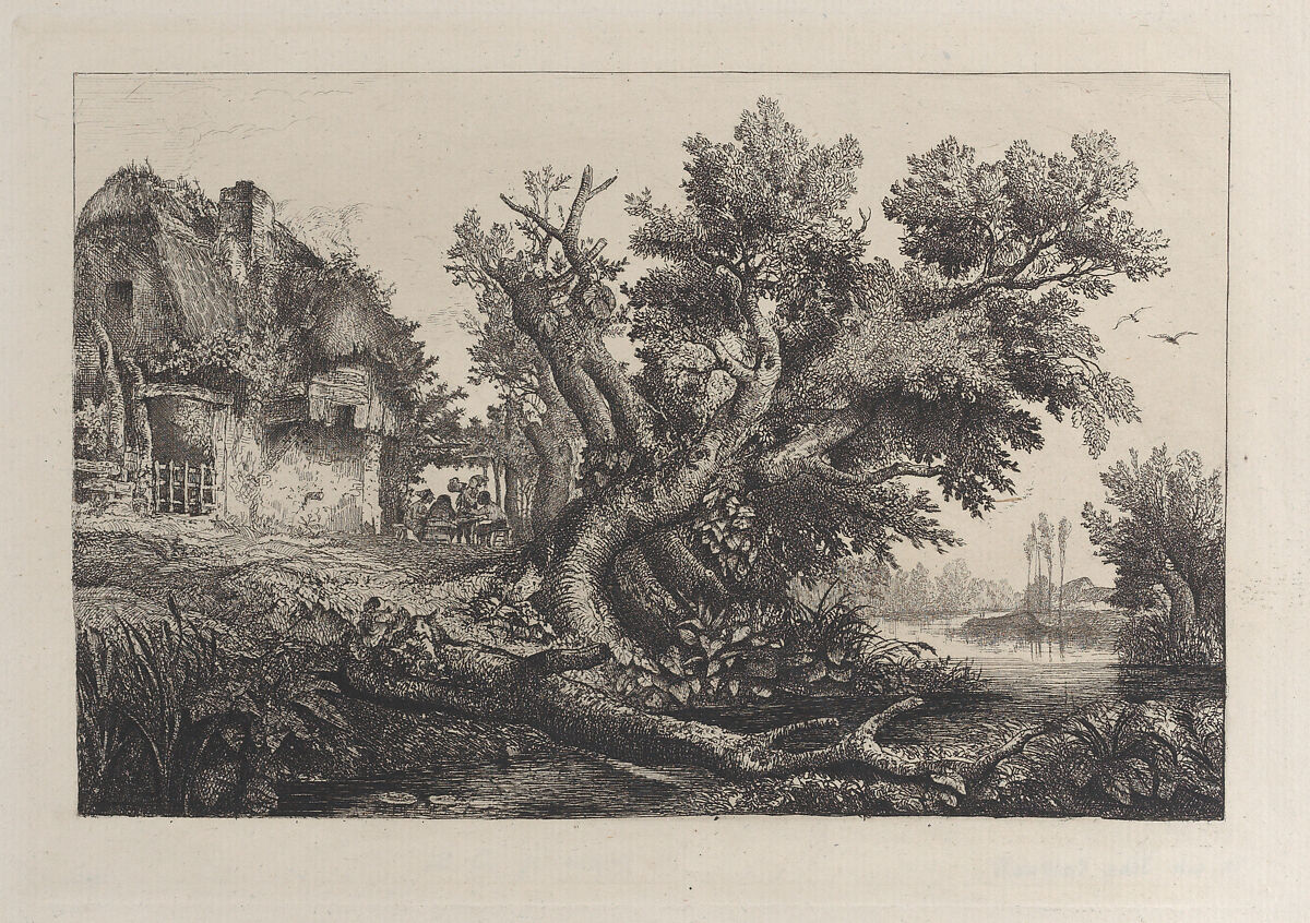 La Tonnelle, Charles-François Daubigny (French, Paris 1817–1878 Paris), Photogravure 