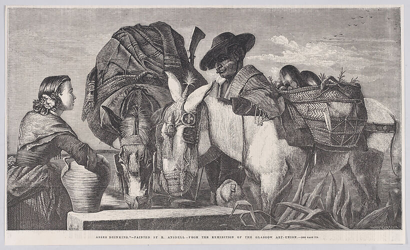 Asses Drinking, from 
