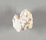 Blast 4, bioinformatica, X-Art Foundation