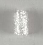 Blast 4, bioinformatica, X-Art Foundation