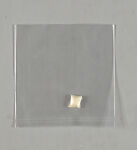 Blast 4, bioinformatica, X-Art Foundation