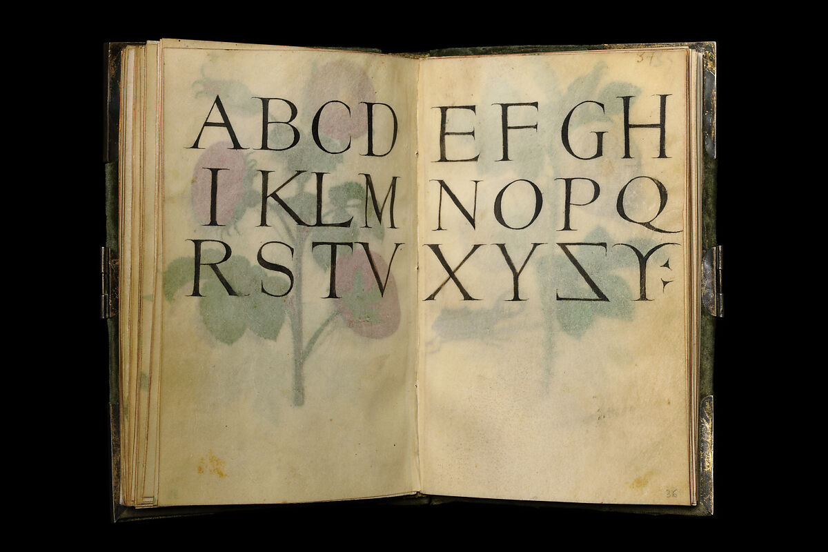 Book of Flower Studies, Master of Claude de France (active from ca.1508–1520), Opaque water color, organic glazes, gold and silver paint, iron and carbon-based ink and charcoal on parchment, French