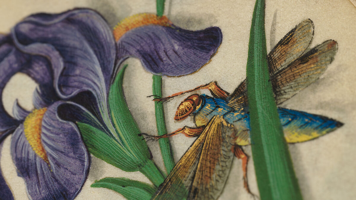 Book of Flower Studies, Master of Claude de France (active from ca.1508–1520), Opaque water color, organic glazes, gold and silver paint, iron and carbon-based ink and charcoal on parchment, French